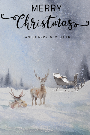 Santa's Reindeers