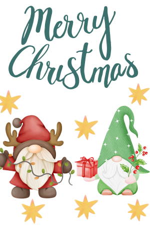 Christmas Gnomes